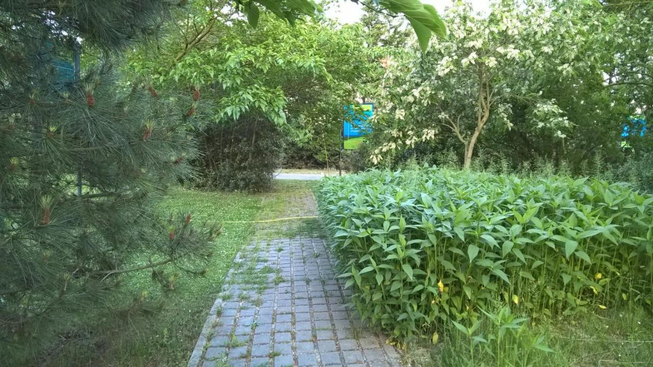 Rose Canine B&B Cesenatico Luaran gambar