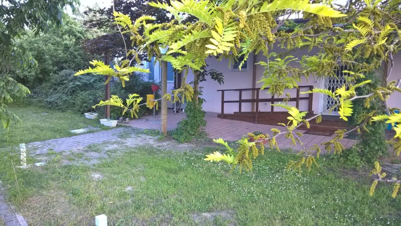 Rose Canine B&B Cesenatico Luaran gambar