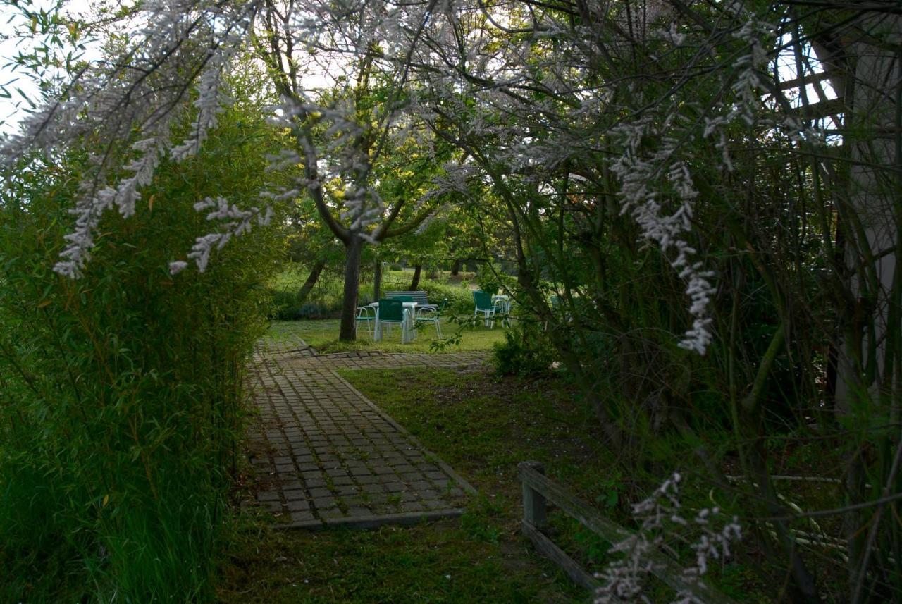 Rose Canine B&B Cesenatico Luaran gambar