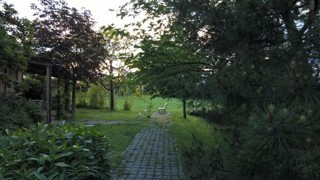 Rose Canine B&B Cesenatico Luaran gambar